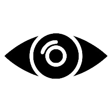 Vision Icon